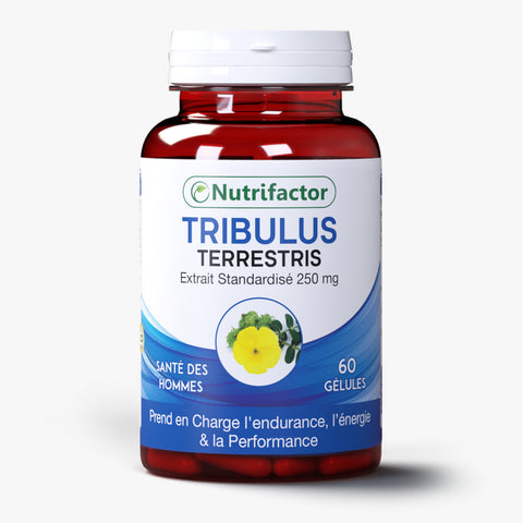 Tribulus Terrestris