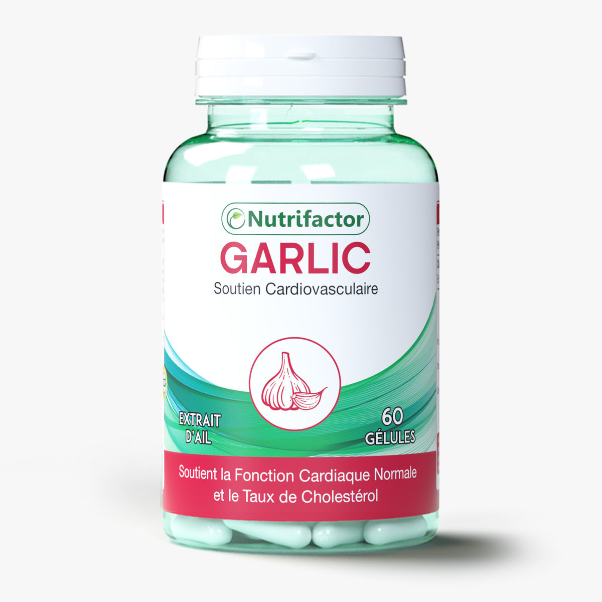 Garlic